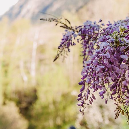 Chambre Ou Gite Dans Une Maison De Montagne - De Suzon A Zelie Entraigues  Kültér fotó