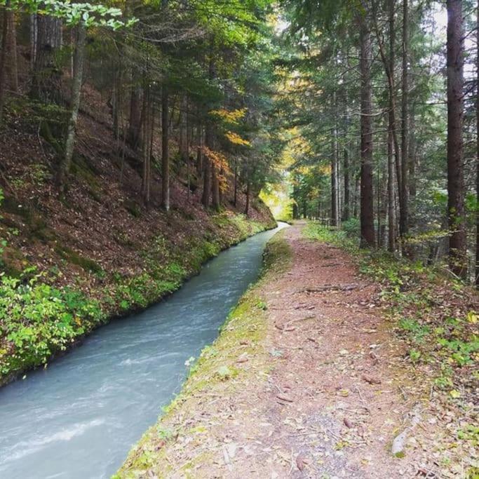 Chambre Ou Gite Dans Une Maison De Montagne - De Suzon A Zelie Entraigues  Kültér fotó